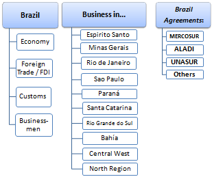 Внешняя торговля и Ведение бизнеса в Бразилии