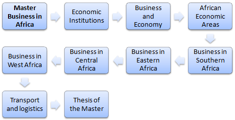 Магистра (онлайн) Бизнеса в Африке